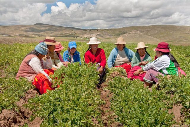 mujeres en agricultura